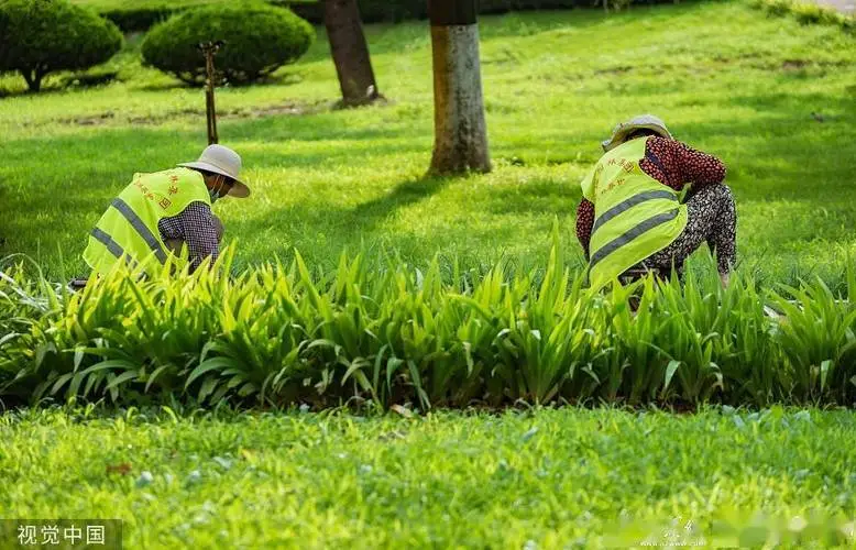 市政街道绿化工程花箱